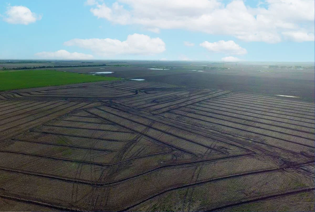 field view of drainage