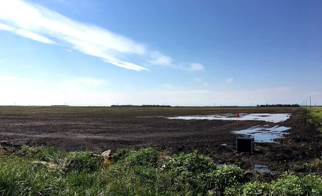 field with drainage solution showing massive drainage improvement