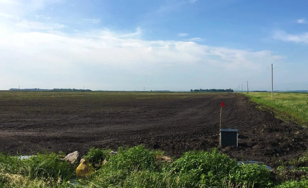 field with drainage solution planted