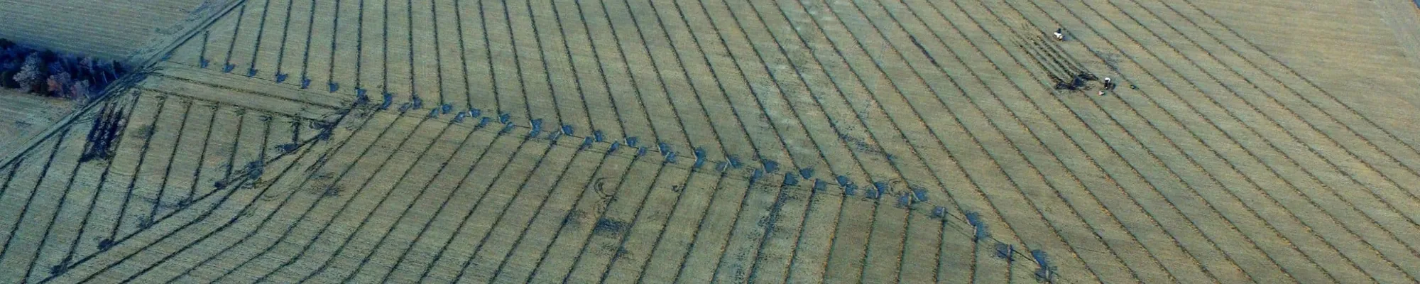 field with drainage solution