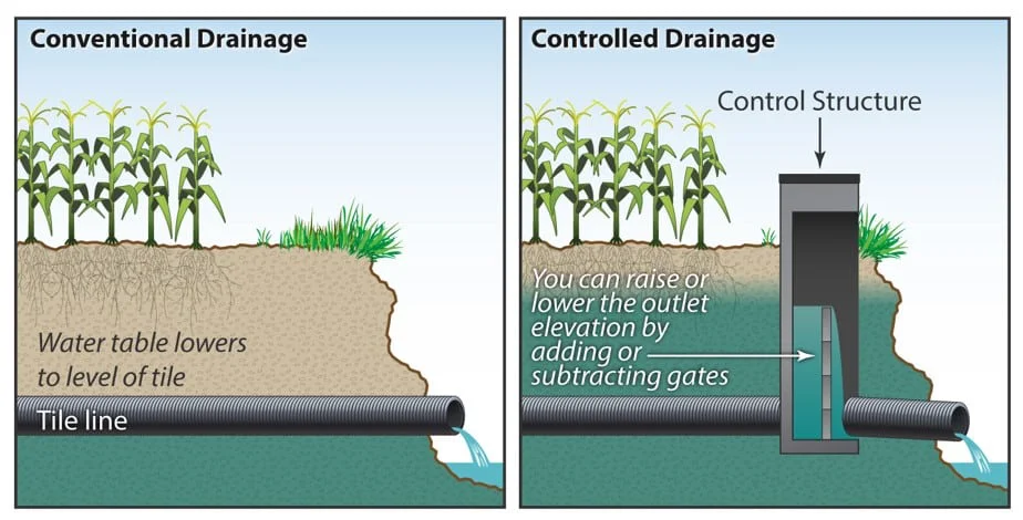 A graphic about conventional and controlled drainage