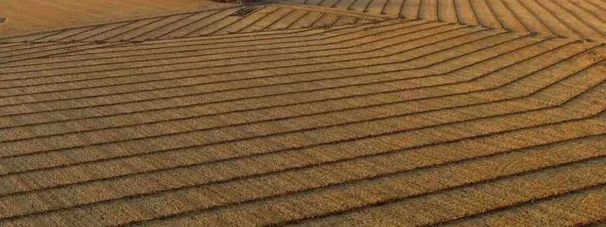 Field drainage systems designed for land to stay productive and healthy