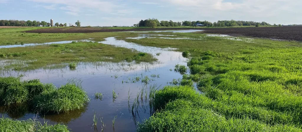 Field drainage systems designed for land to stay productive and healthy