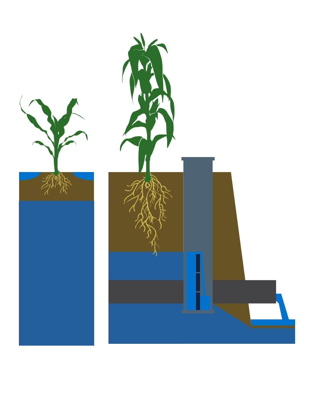 Comparison of undrained versus controlled drainage systems
