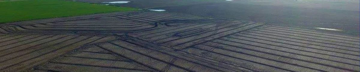 field with drainage solution